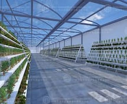 Smart Greenhouse Exports: A Successful Practice in the Netherlands