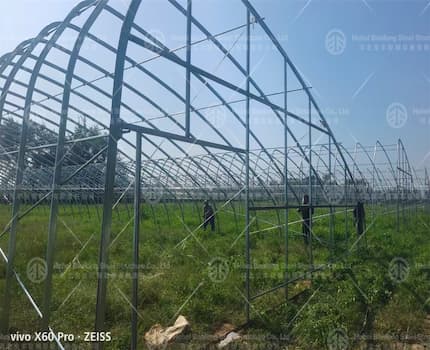 Greenhouse export to South Sudan