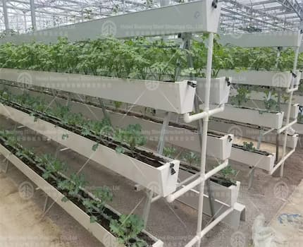 Greenhouses exported to Kenya, Africa