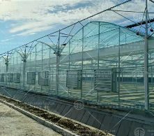 Why choose polycarbonate film Greenhouse？