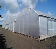 Greenhouse: A multifunctional 