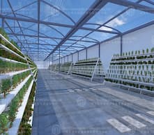 China's greenhouse technology shines on the international stage, and export business ushers in new breakthroughs