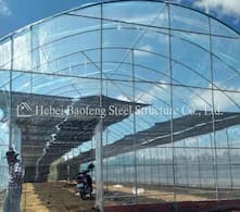 Plastic film single-arch greenhouse: a new trend in global agricultural technology