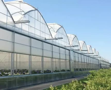 Dutch greenhouses exported to the UAE