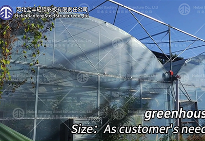Multi span greenhouse