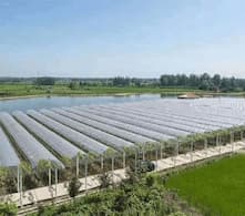 The global greenhouse market is booming, driving sustainable agriculture