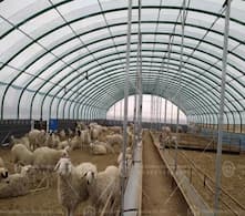 Greenhouse breeding sheds help modern agriculture upgrade and demonstrate multiple advantages