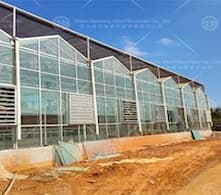 Greenhouse technology promotes sustainable development of global agriculture