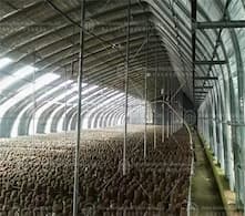 Breeding greenhouse: the innovative power of modern agriculture