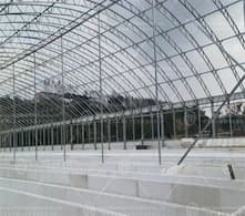 Technology Empowers the 