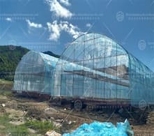 Greenhouse technology empowers modern agriculture and promotes rural revitalization