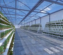 Greenhouses in Almeria Spain: a miracle of modern agriculture
