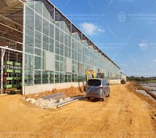 Uzbekistan's greenhouse construction boom helps agricultural output soar
