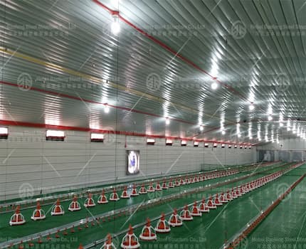 Steel poultry farming manufacturer export to Philippines